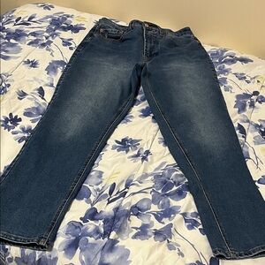 Frye Women's Denim Straight Leg Jeans